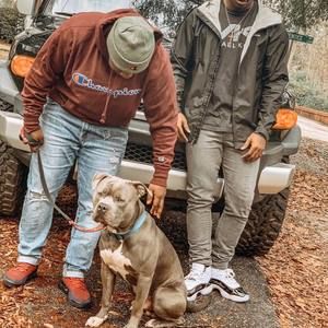 Meet your Posher, Brian